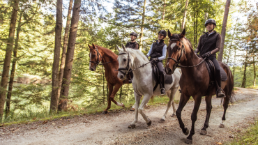 Évasion Naturelle: Laissez-vous Charmer par la Vallée de Tahanout