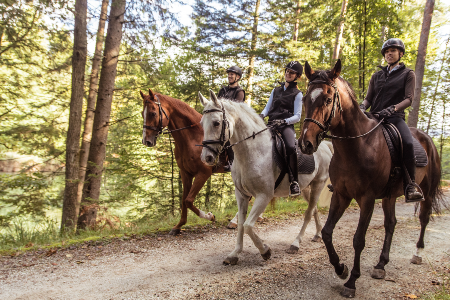 Balade à cheval